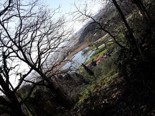 ホテル Cecco Di Nara マッサローザ エクステリア 写真