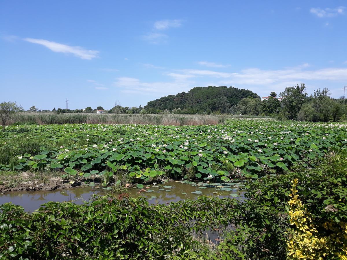 ホテル Cecco Di Nara マッサローザ エクステリア 写真